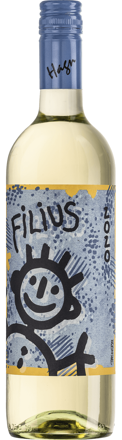 Bild von Grüner Veltliner Filius 2023