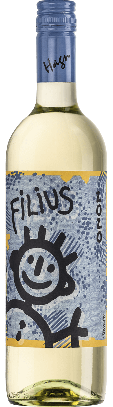 Bild von Grüner Veltliner Filius 2022