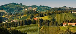 Bild für Kategorie Weine - Steiermark