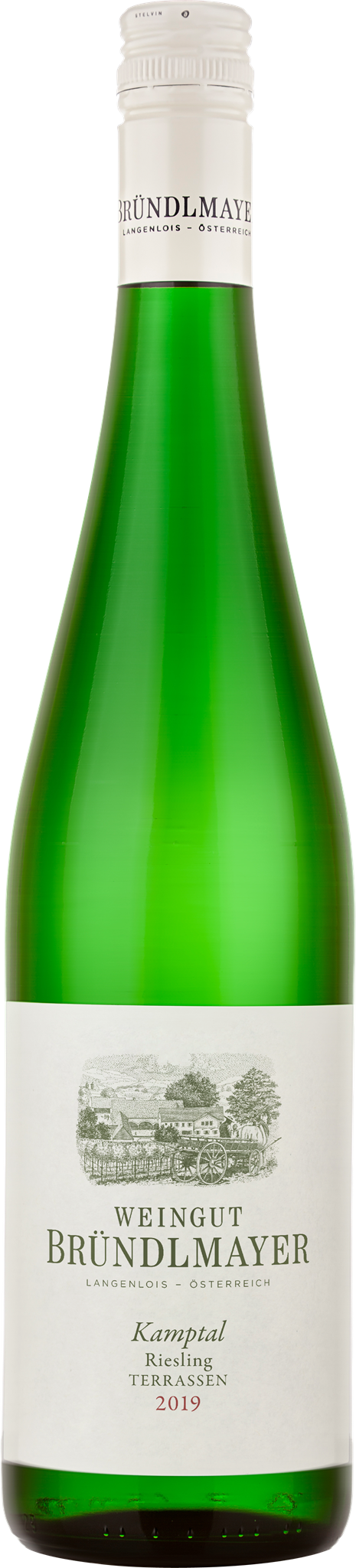 Bild von Riesling Kamptal DAC Terrassen 2023 BIO