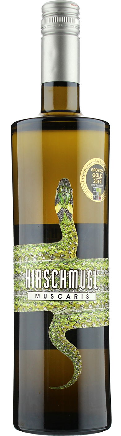 Bild von Muscaris 2022 BIO